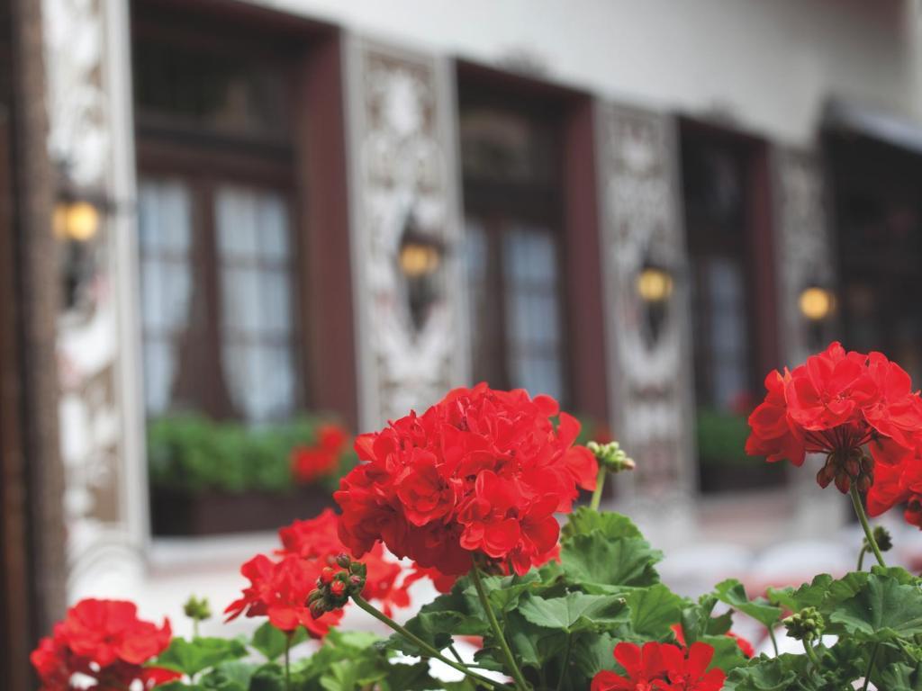 Hotel Felsenkeller ฮูเดสไฮม์ แอม ไฮน์ ภายนอก รูปภาพ