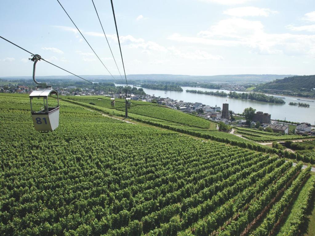 Hotel Felsenkeller ฮูเดสไฮม์ แอม ไฮน์ ภายนอก รูปภาพ